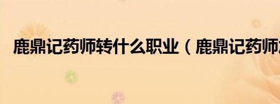 鹿鼎记药师转什么职业（鹿鼎记药师加点）