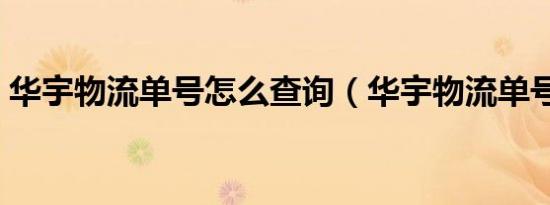 华宇物流单号怎么查询（华宇物流单号查询）