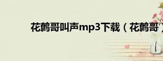 花鹩哥叫声mp3下载（花鹩哥）