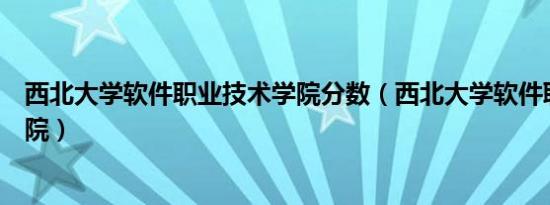 西北大学软件职业技术学院分数（西北大学软件职业技术学院）