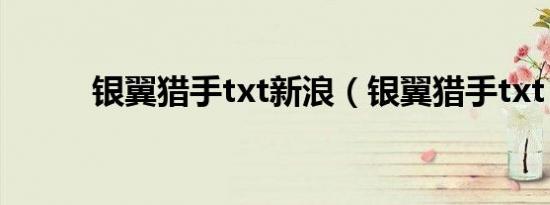 银翼猎手txt新浪（银翼猎手txt）