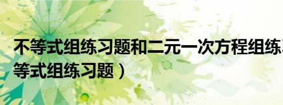 不等式组练习题和二元一次方程组练习题（不等式组练习题）