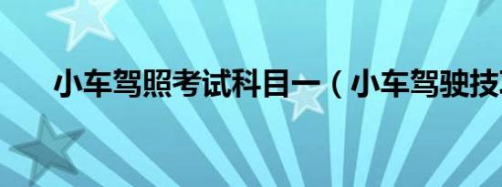小车驾照考试科目一（小车驾驶技巧）