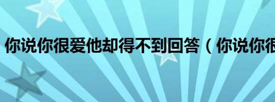 你说你很爱他却得不到回答（你说你很爱他）