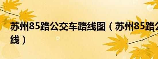 苏州85路公交车路线图（苏州85路公交车路线）