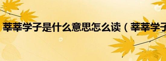 莘莘学子是什么意思怎么读（莘莘学子套餐）
