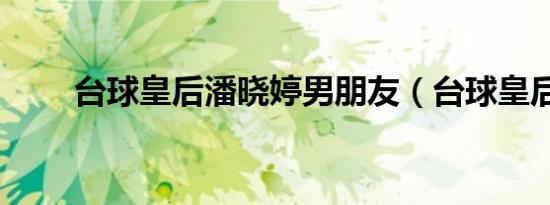 台球皇后潘晓婷男朋友（台球皇后）