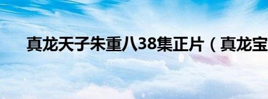 真龙天子朱重八38集正片（真龙宝具）