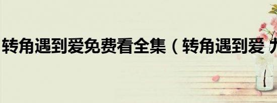 转角遇到爱免费看全集（转角遇到爱 九把刀）