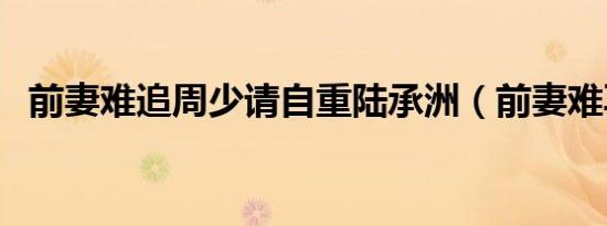 前妻难追周少请自重陆承洲（前妻难再娶）