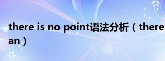 there is no point语法分析（there is no plan）
