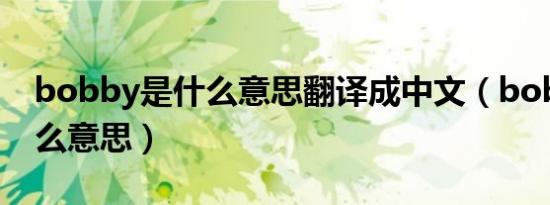bobby是什么意思翻译成中文（bobby是什么意思）
