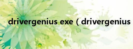 drivergenius exe（drivergenius exe）