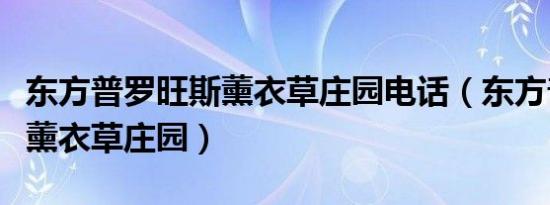 东方普罗旺斯薰衣草庄园电话（东方普罗旺斯薰衣草庄园）