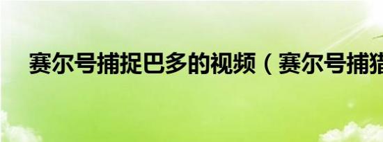 赛尔号捕捉巴多的视频（赛尔号捕猎场）