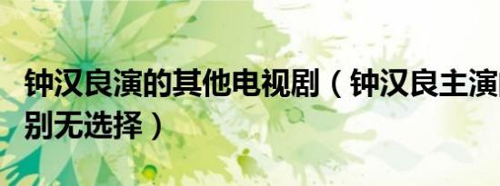 钟汉良演的其他电视剧（钟汉良主演的电视剧别无选择）