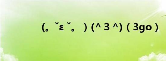 (。ˇε ˇ。）(^３^)（3go）
