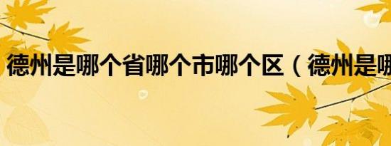 德州是哪个省哪个市哪个区（德州是哪个省）