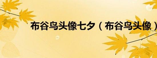 布谷鸟头像七夕（布谷鸟头像）