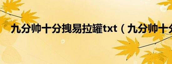 九分帅十分拽易拉罐txt（九分帅十分拽）