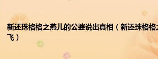 新还珠格格之燕儿的公婆说出真相（新还珠格格之燕儿双双飞）