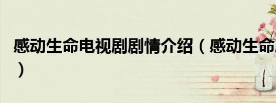 感动生命电视剧剧情介绍（感动生命剧情介绍）
