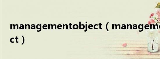 managementobject（managementobject）