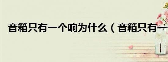 音箱只有一个响为什么（音箱只有一个响）