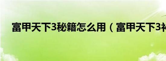 富甲天下3秘籍怎么用（富甲天下3补丁）
