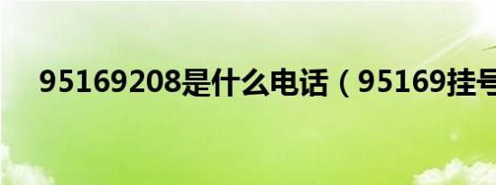 95169208是什么电话（95169挂号网）