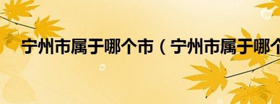 宁州市属于哪个市（宁州市属于哪个省）