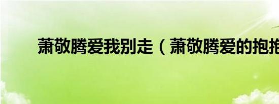萧敬腾爱我别走（萧敬腾爱的抱抱）