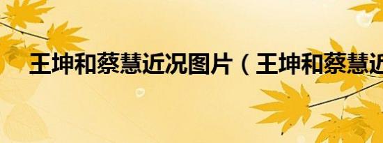 王坤和蔡慧近况图片（王坤和蔡慧近况）