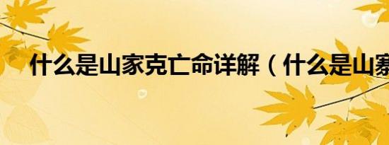 什么是山家克亡命详解（什么是山寨机）