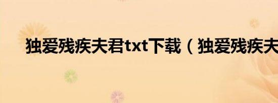 独爱残疾夫君txt下载（独爱残疾夫君）