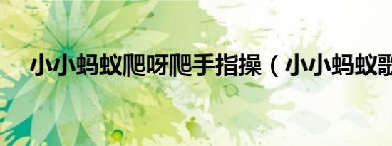 小小蚂蚁爬呀爬手指操（小小蚂蚁歌词）