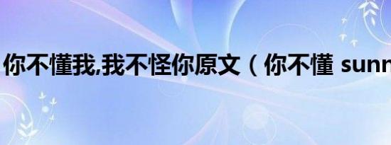 你不懂我,我不怪你原文（你不懂 sunny hill）