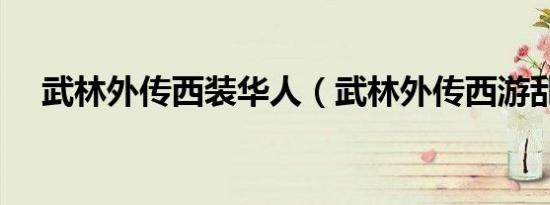武林外传西装华人（武林外传西游乱记）