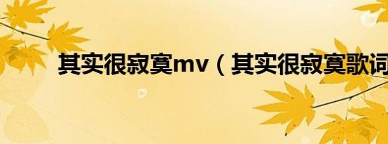 其实很寂寞mv（其实很寂寞歌词）