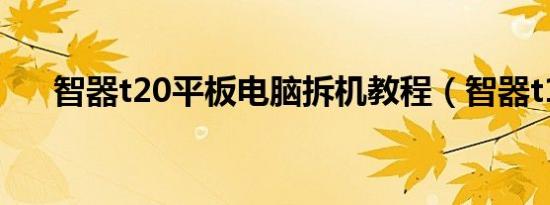 智器t20平板电脑拆机教程（智器t10）