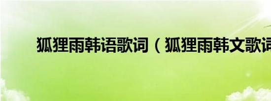 狐狸雨韩语歌词（狐狸雨韩文歌词）