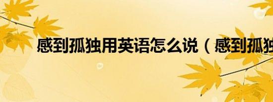 感到孤独用英语怎么说（感到孤独）