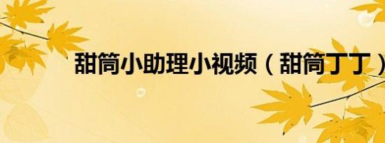 甜筒小助理小视频（甜筒丁丁）