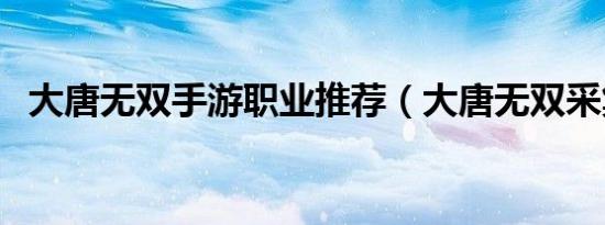 大唐无双手游职业推荐（大唐无双采集点）