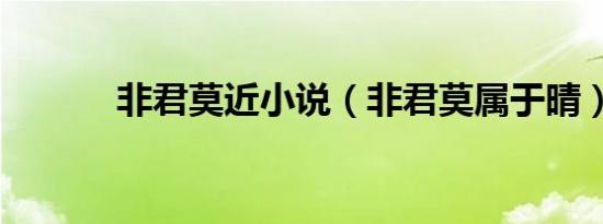 非君莫近小说（非君莫属于晴）