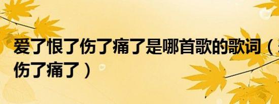 爱了恨了伤了痛了是哪首歌的歌词（爱了恨了伤了痛了）