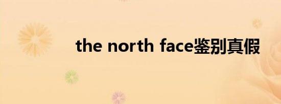 the north face鉴别真假