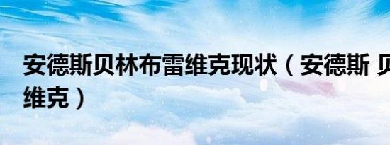 安德斯贝林布雷维克现状（安德斯 贝林 布雷维克）