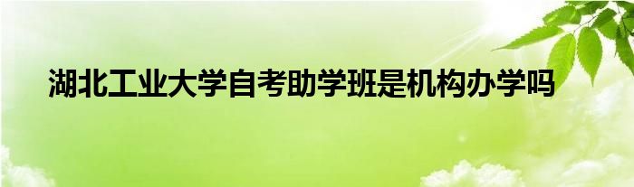 湖北工业大学自考助学班是机构办学吗