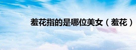 羞花指的是哪位美女（羞花）